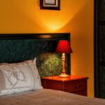 Cimici su un muro di casa, con rimedi naturali per la loro eliminazione.