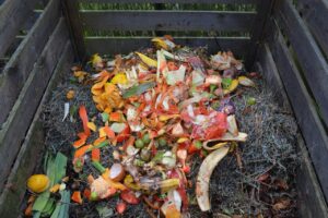Come preparare il compost in casa: ecco la guida completa per principianti