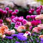 Giardino in marzo: fioriture primaverili, piante verdi e attrezzi per la cura del verde.