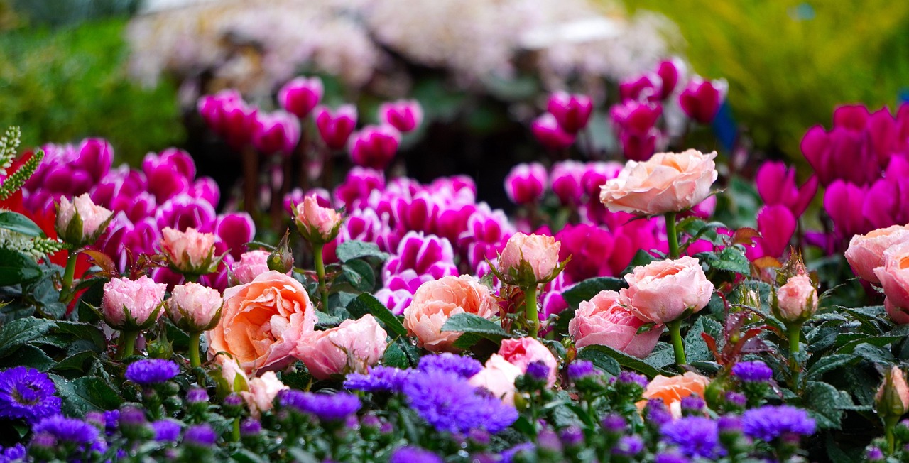Giardino in marzo: fioriture primaverili, piante verdi e attrezzi per la cura del verde.