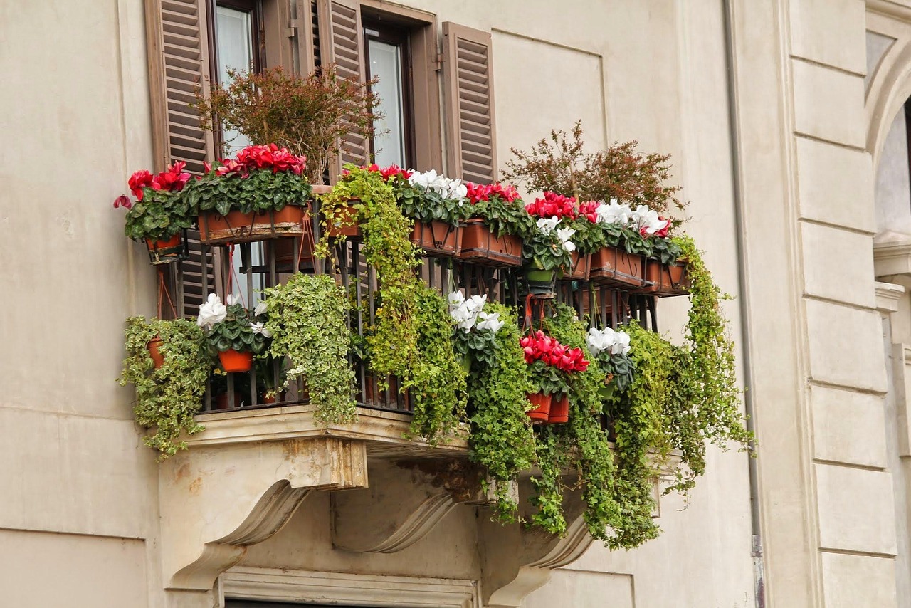 Piante da balcone resistenti al caldo estivo, ideali per spazi soleggiati e con poca acqua.