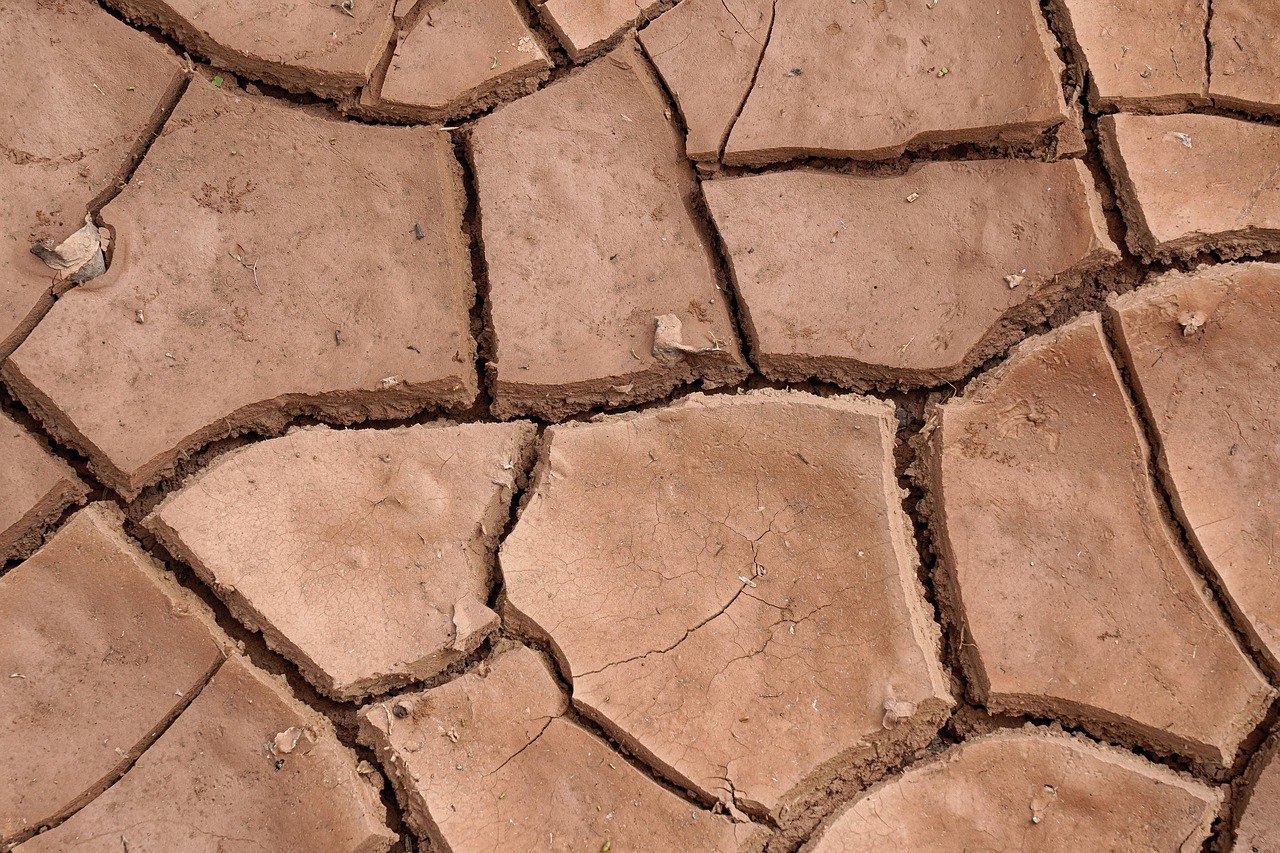 Immagine di un terreno argilloso lavorato, con attrezzi agricoli e piante in crescita.